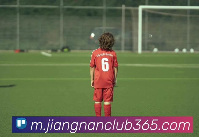 江南体育APP 封面图